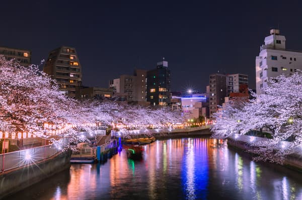 神秘夜櫻＆隅田川夜燈巡航之旅（17:40~）