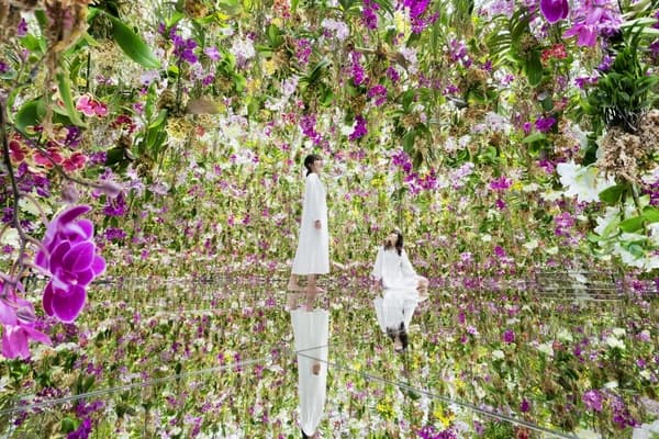 teamLab Planets TOKYO 入場券 - 豐洲