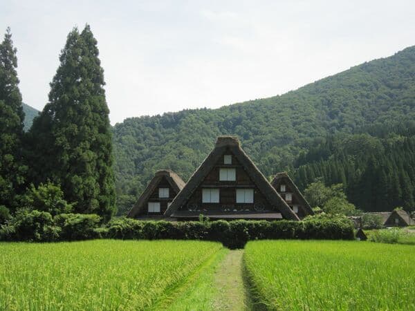 白川鄉、飛驒高山白金路線旅程＜金澤站出發及抵達／附午餐、英文導遊同行＞ - 金澤