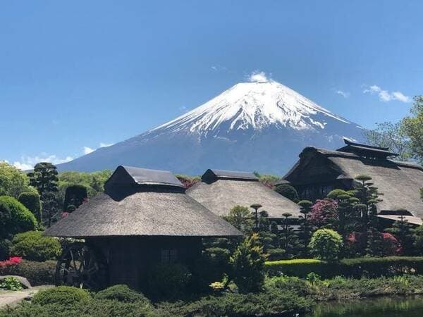 【12歲或以上】【新宿出發】富士山即日來回旅程（自由午餐時間/附普通話導遊）- 山梨