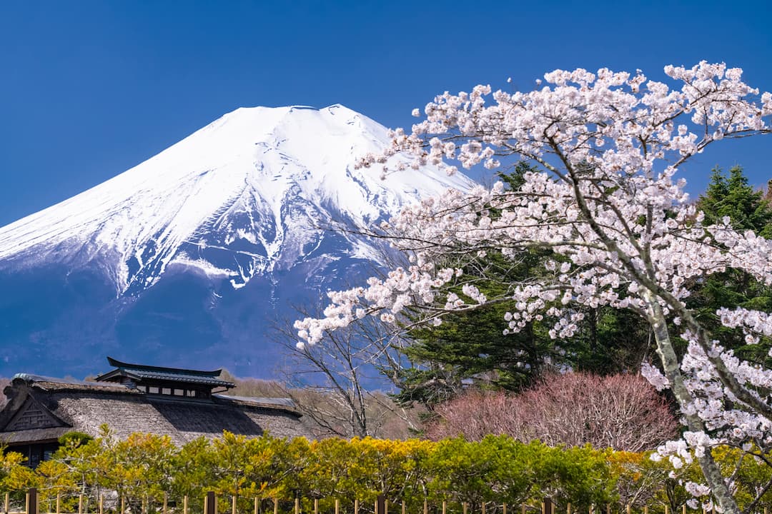 富士山周邊