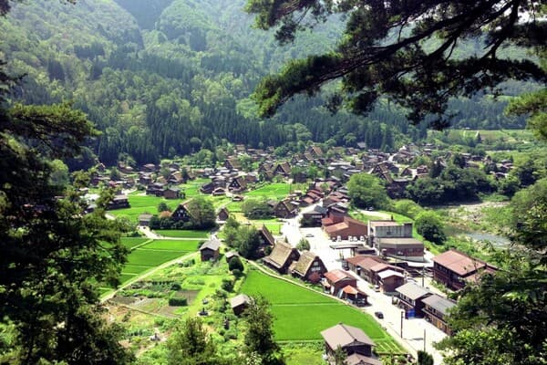 【名古屋出發】高山、白川鄉即日來回旅程（附飛驒牛套餐料理／附普通話導遊）- 岐阜