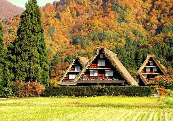 【名古屋出發】高山、白川鄉即日來回旅程（附五箇山豆腐關東煮午餐／附普通話導遊）- 岐阜