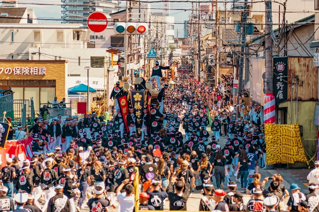 傳統文化・觀賞歌舞伎・相撲