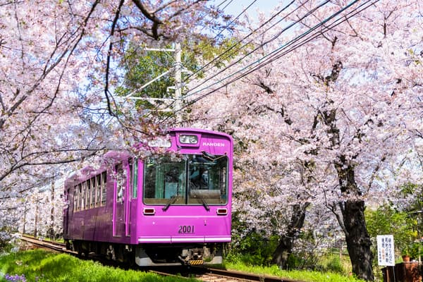 嵐電1日無限次乘車券＋原創御朱印帳 - 京都