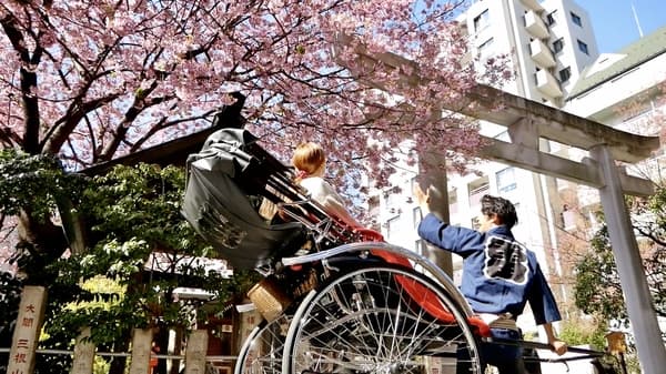 【30分鐘】乘搭人力車悠閒賞櫻！徜徉在鎌倉的歷史與自然之中～細品鎌倉風情之旅