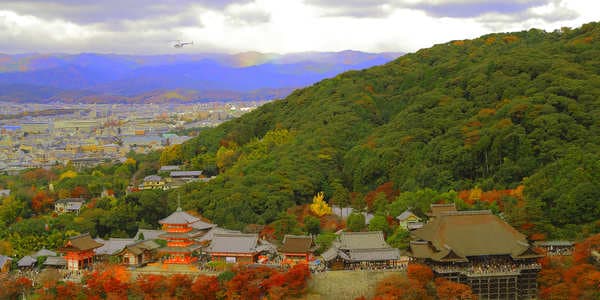 乘搭直升機由空中俯瞰京都，巡遊清水寺
