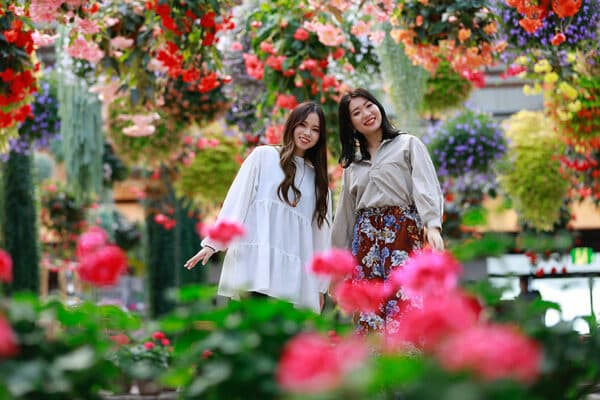 【16歳或以上】只有這裡才能體驗！可在日本最大的溫室拍攝花卉&與鳥類零距離互動的主題樂園門票