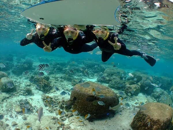 【恩納村】繽紛熱帶魚&珊瑚之森的浮潛之旅