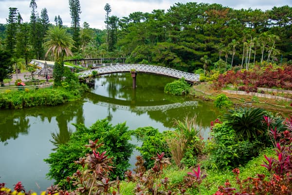【18歲或以上・白天】東南植物樂園 入場票 - 沖繩