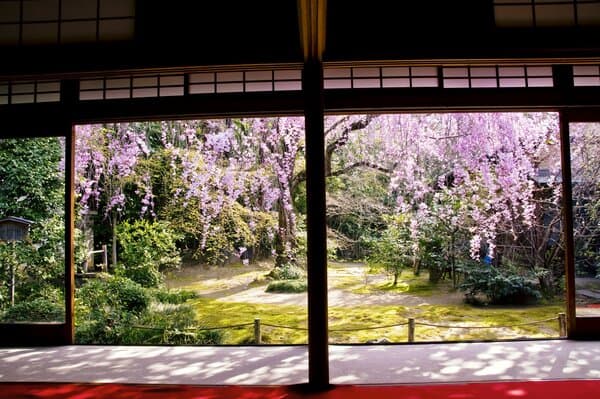 參觀日本最大的禪寺「妙心寺塔頭 退藏院」＋京料理餐廳「花GOKORO」享用午餐