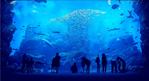 【18-64歲】能體驗與大海和河川的新連繫，「仙台海洋森林水族館」門票