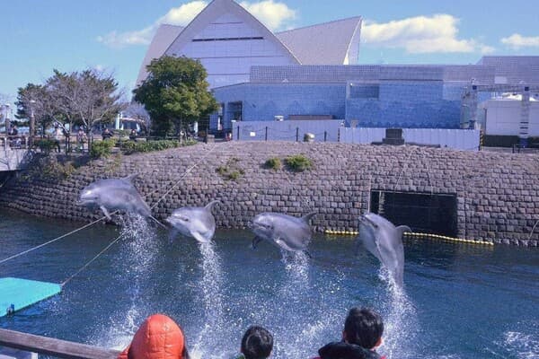 【7-15歲】來探訪鯨鯊！「IO WORLD鹿兒島水族館」門票