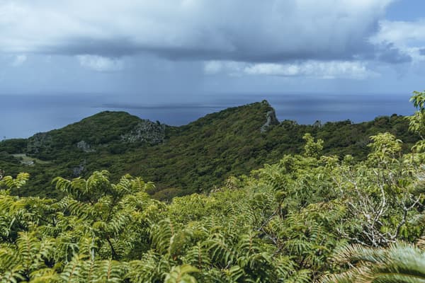 在御嶽的大自然中，重新審視自我的心靈療癒旅程 - 沖繩