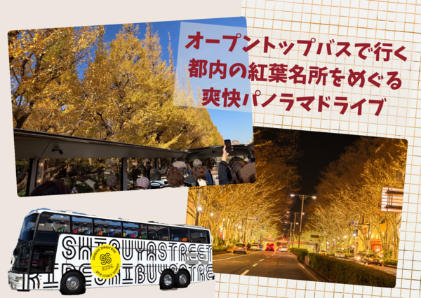 【下午出發・4/12（星期一）5/12（星期二）限定】遊覽東京著名紅葉景點 爽快的全景遊車河