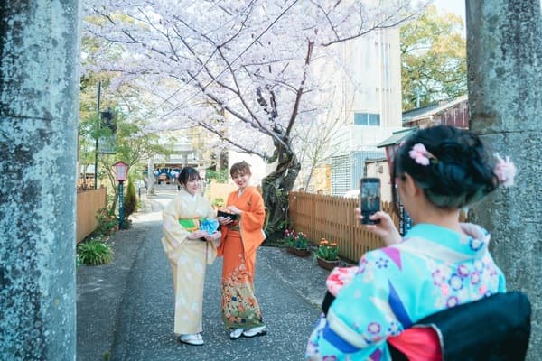 嬉野溫泉Kotobuki屋　穿上和服的舞蹈練習體驗（附攝影會） - 佐賀