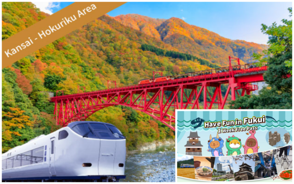 關西＆北陸地區鐵路周遊券7日票+福井樂享周遊券「Have fun in Fukui Pass 1 Week Free Pass (自選3個景點)」套票 - 福井