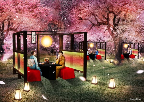 NAKED櫻花祭 2024 世界遺產・二條城｜尊貴賞花區套票 - 京都