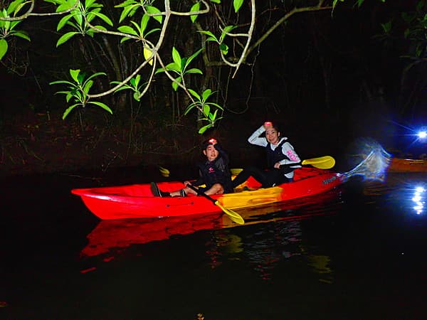 夜間紅樹林＆星空SUP直立板or加式獨木舟體驗 - 西表島