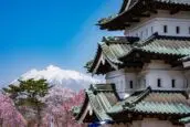 青森弘前公園的弘前城與櫻花