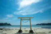 鵜原理想鄉的白鳥居
